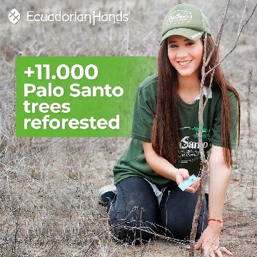 palosanto done right 11000 trees